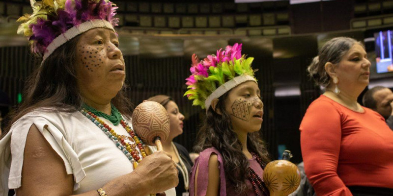 Indígenas querem que Maia devolva projeto que libera mineração